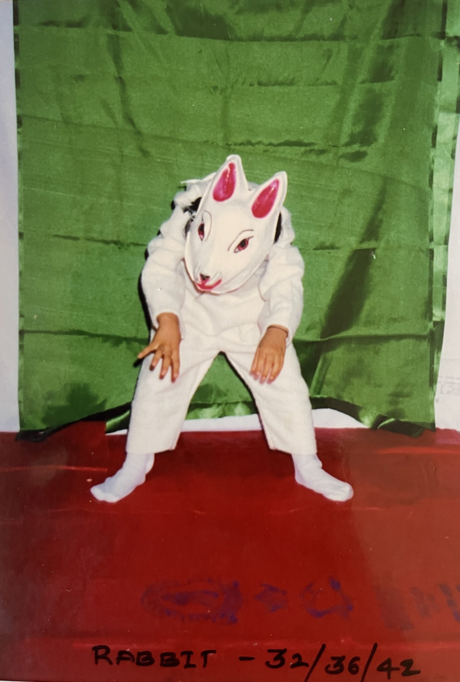 Animals
