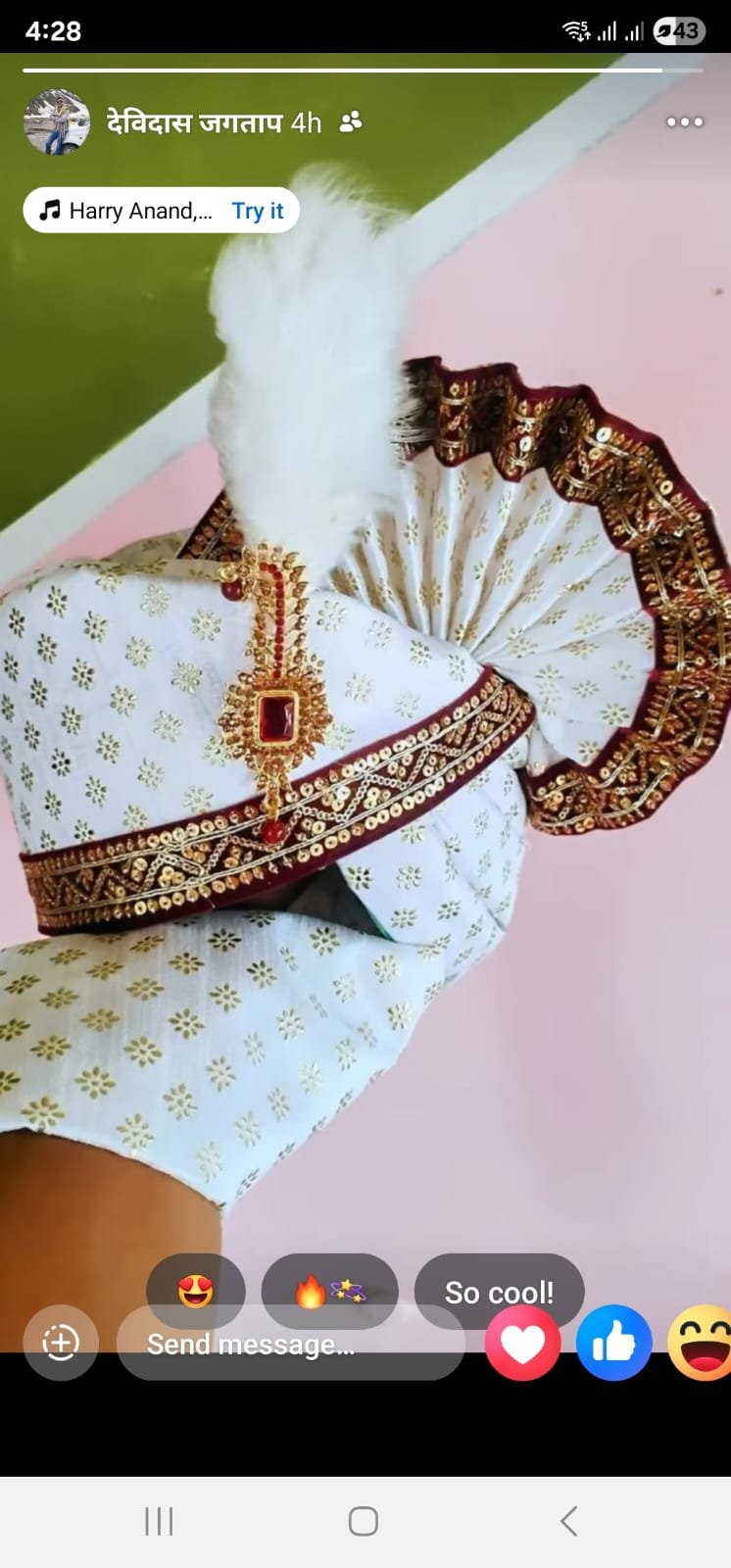 Navar Dev Phetas