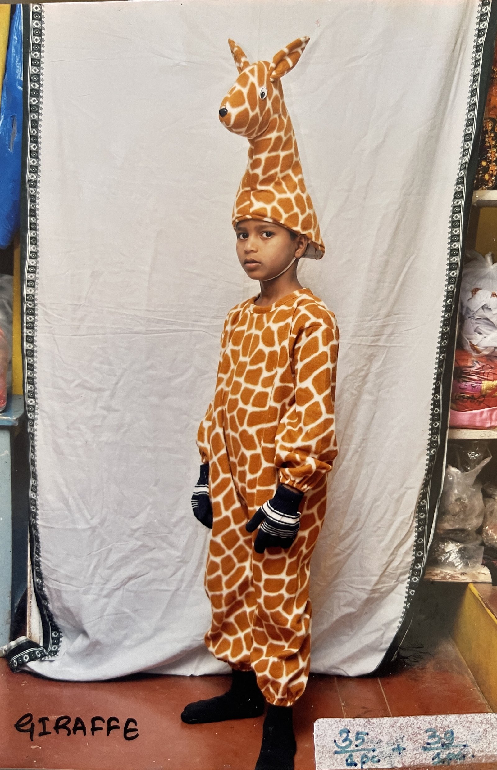 Animals