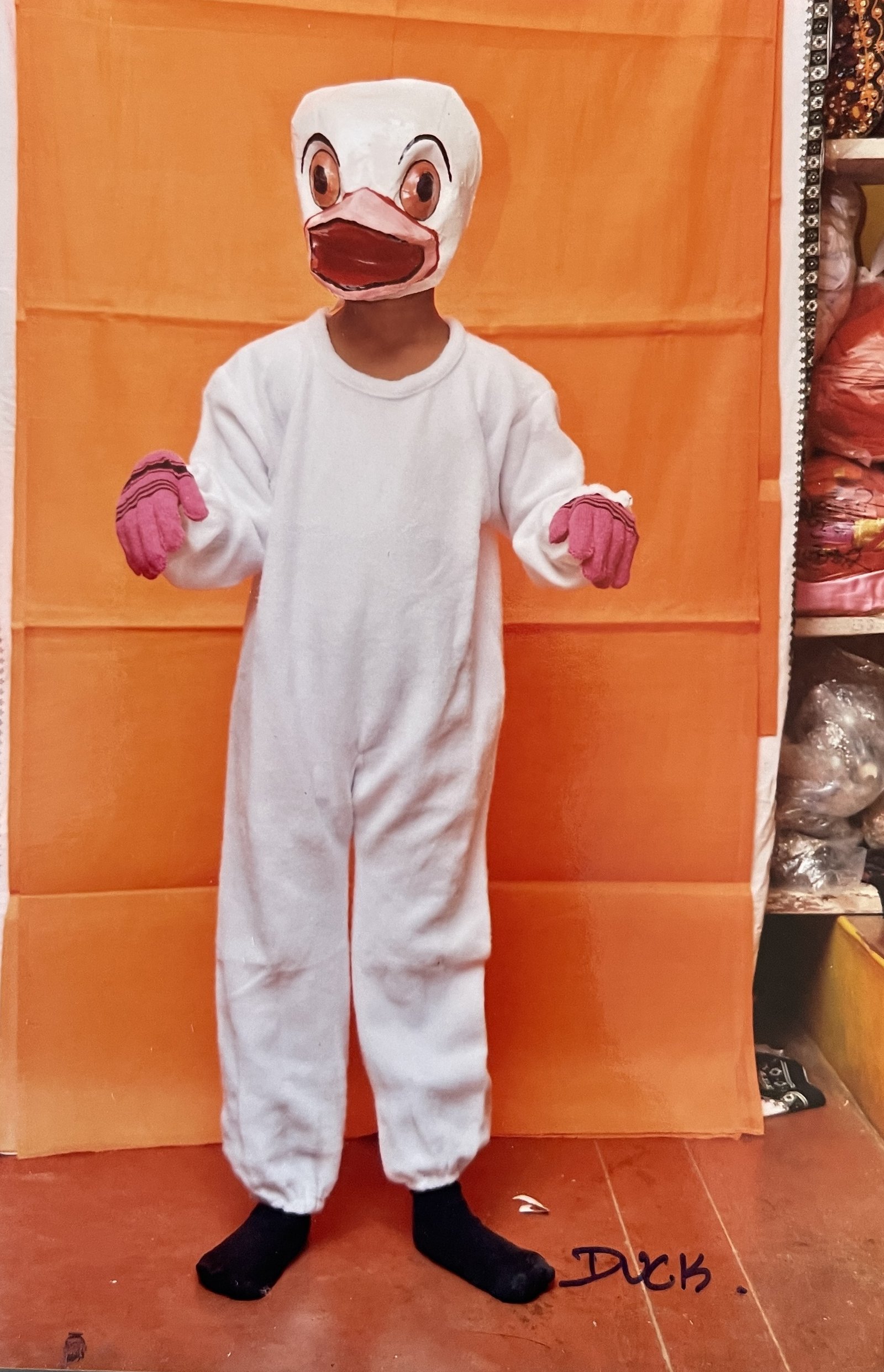 Animals