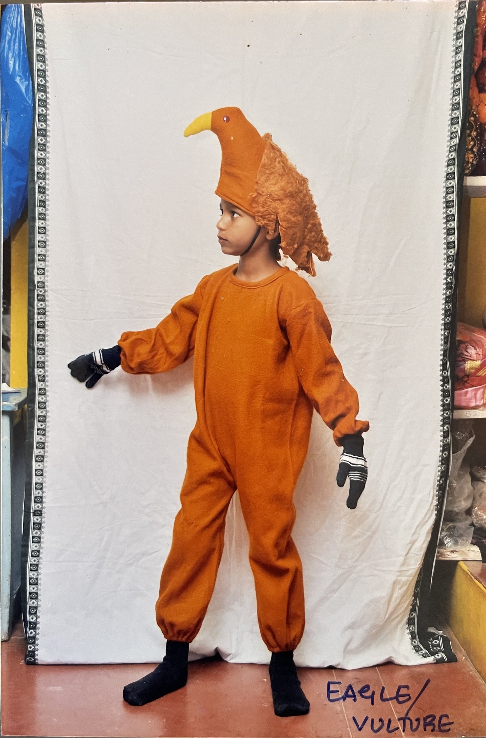 Animals