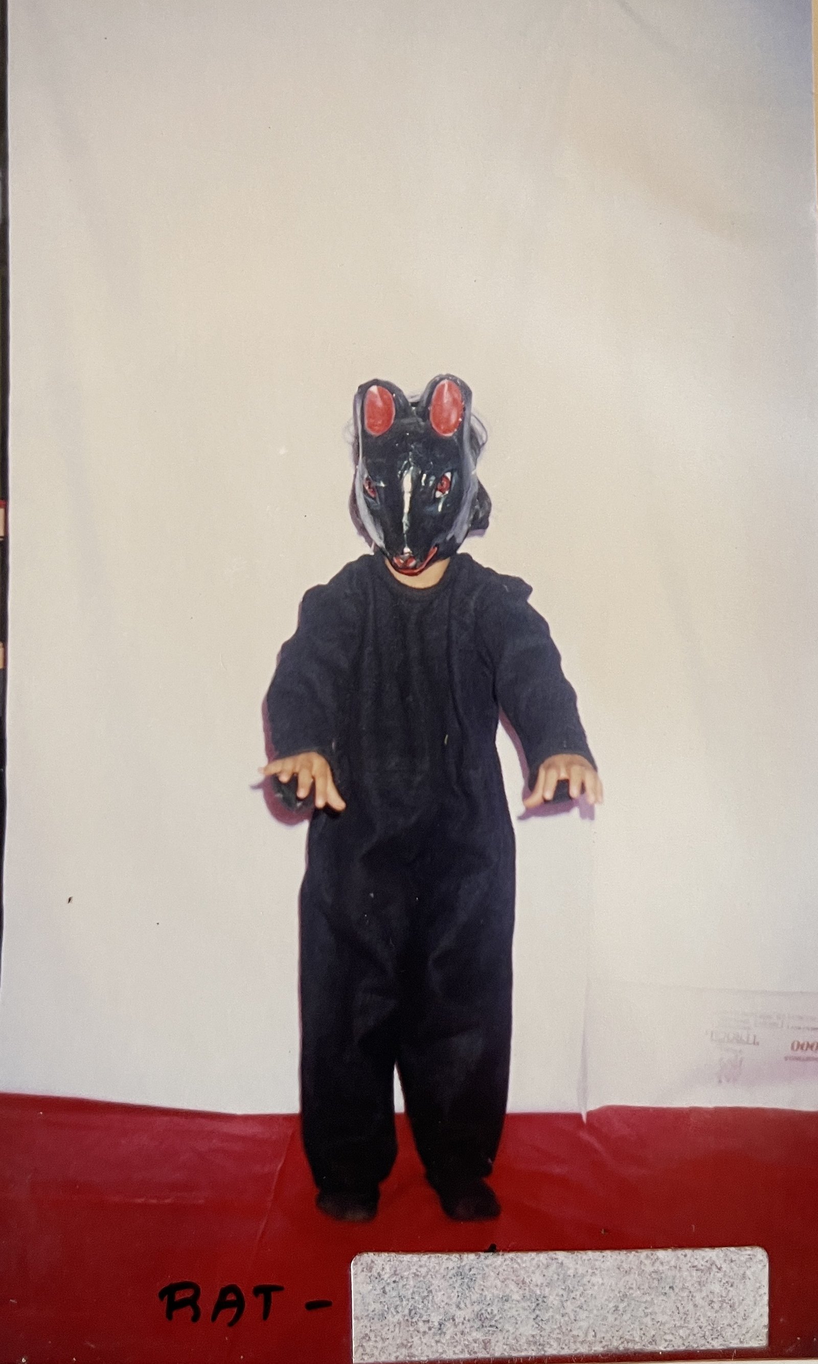 Animals