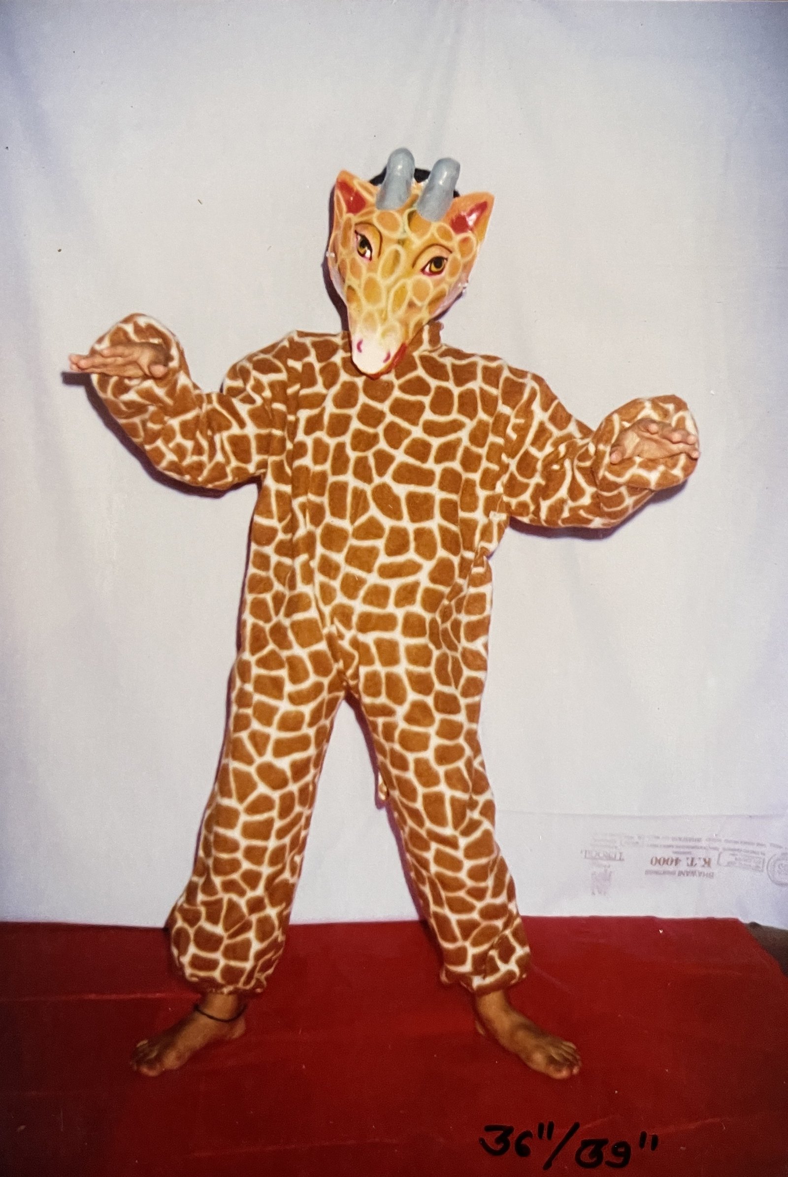 Animals